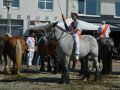 DSC 0185