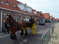 DSC 0031