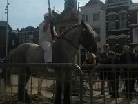 31 juli 2015 Vrije wedstrijd Vlissingen 