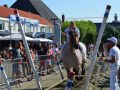 DSC 0020 800x532