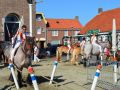 DSC 0021 800x532