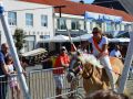 DSC 0026 800x532