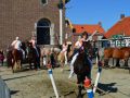 DSC 0042 800x532