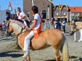 DSC 0049 800x532