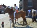 DSC 0061 800x532