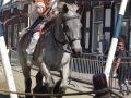 jongeren16 4