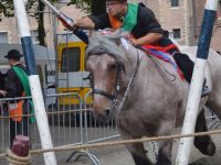 1e Folkloristische dag 2016