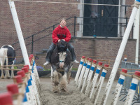 Afdelingswedstrijd 24 augustus 2024
